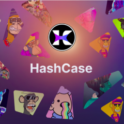 HashCase banner